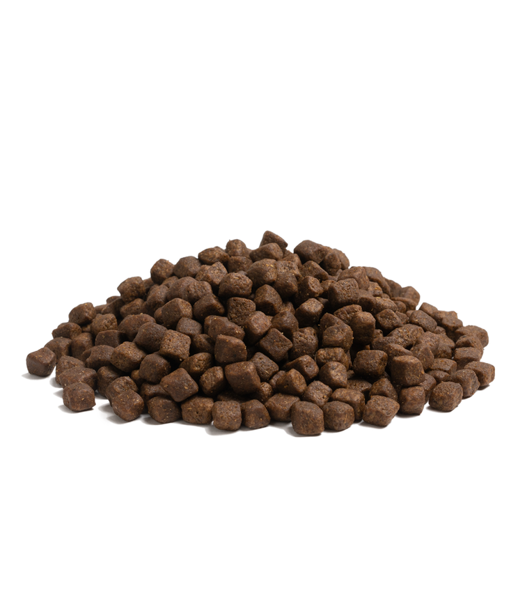 Essential Estate Living Torrfoder till Hund - 2,5 kg