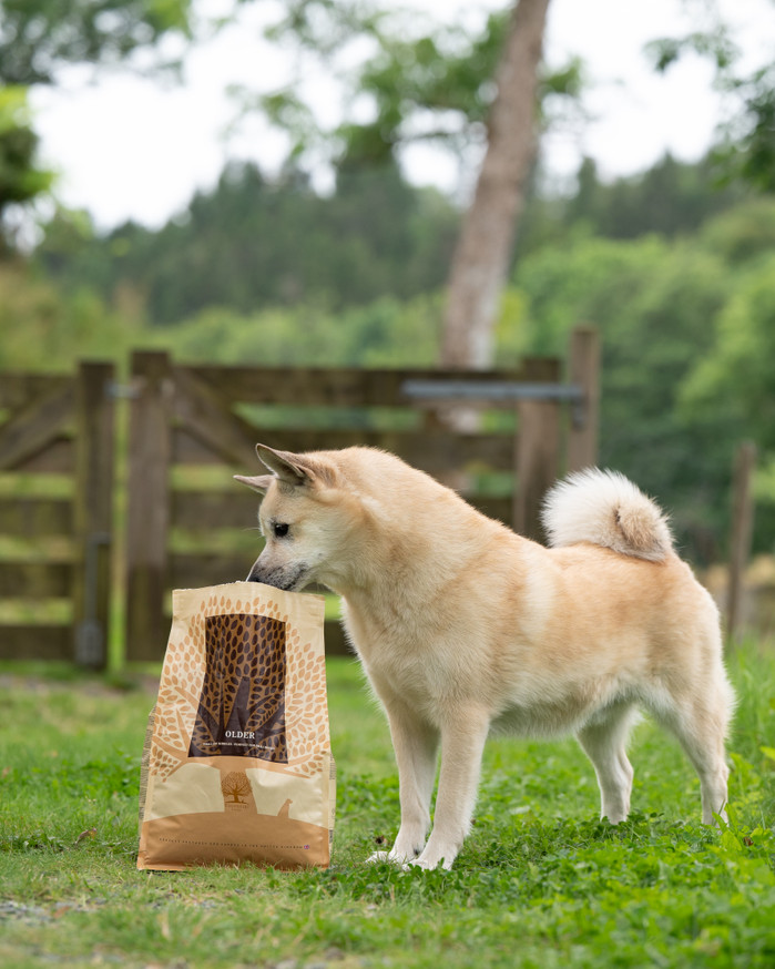 Essential Older Torrfoder till Hund