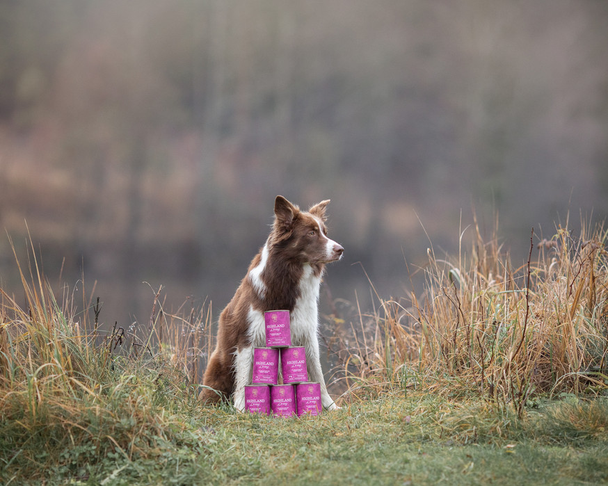 Essential Highland Living Paté Hundfoder