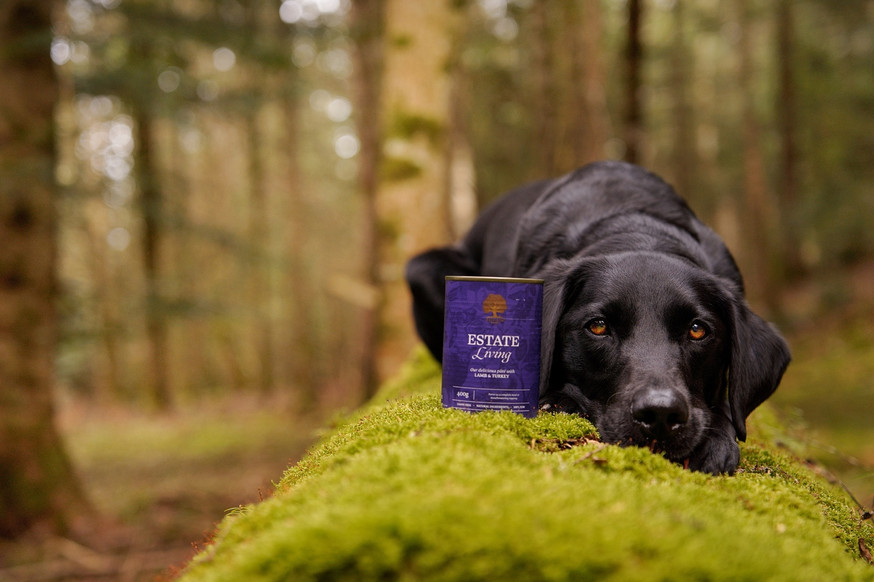 Essential Estate Living Paté Hundfoder