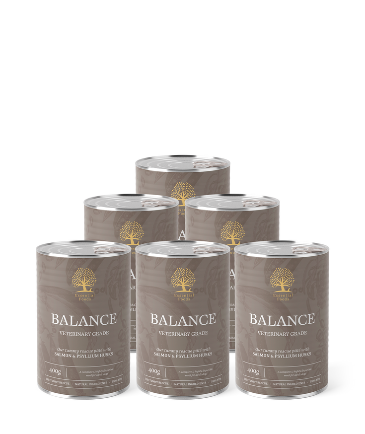 Essential Balance Paté Hundfoder