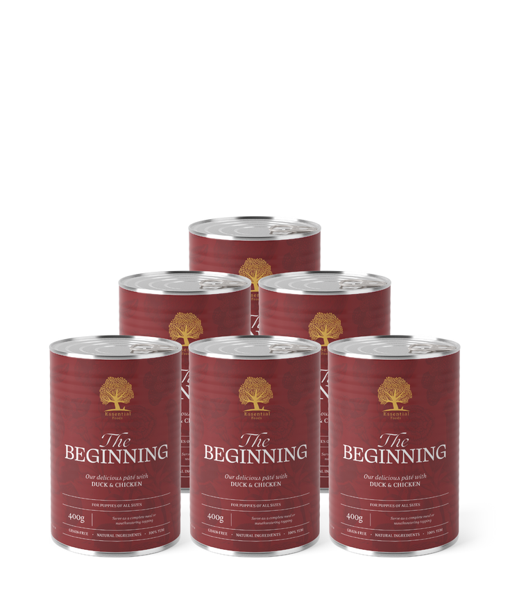 Essential The Beginning Paté Hundfoder