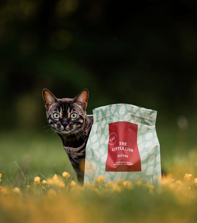 Essential Little Lion Torrfoder till Kattunge
