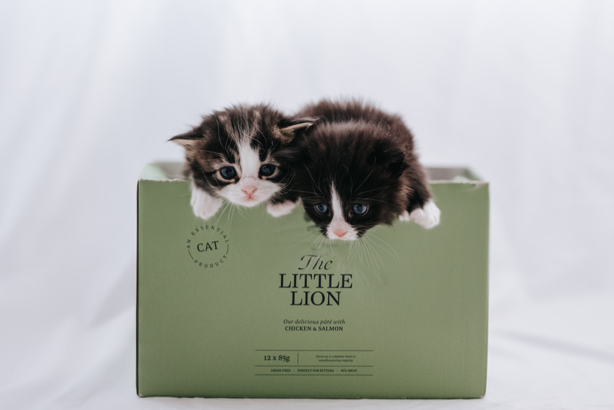 Essential Little Lion Paté till Kattunge