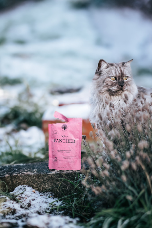 Essential Panther Paté till Katt