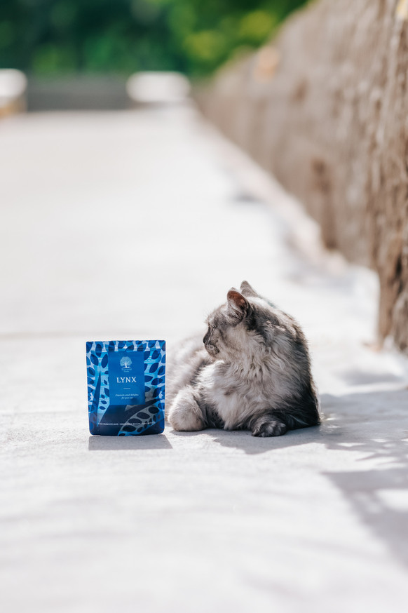 Essential The Lynx Kattgodis