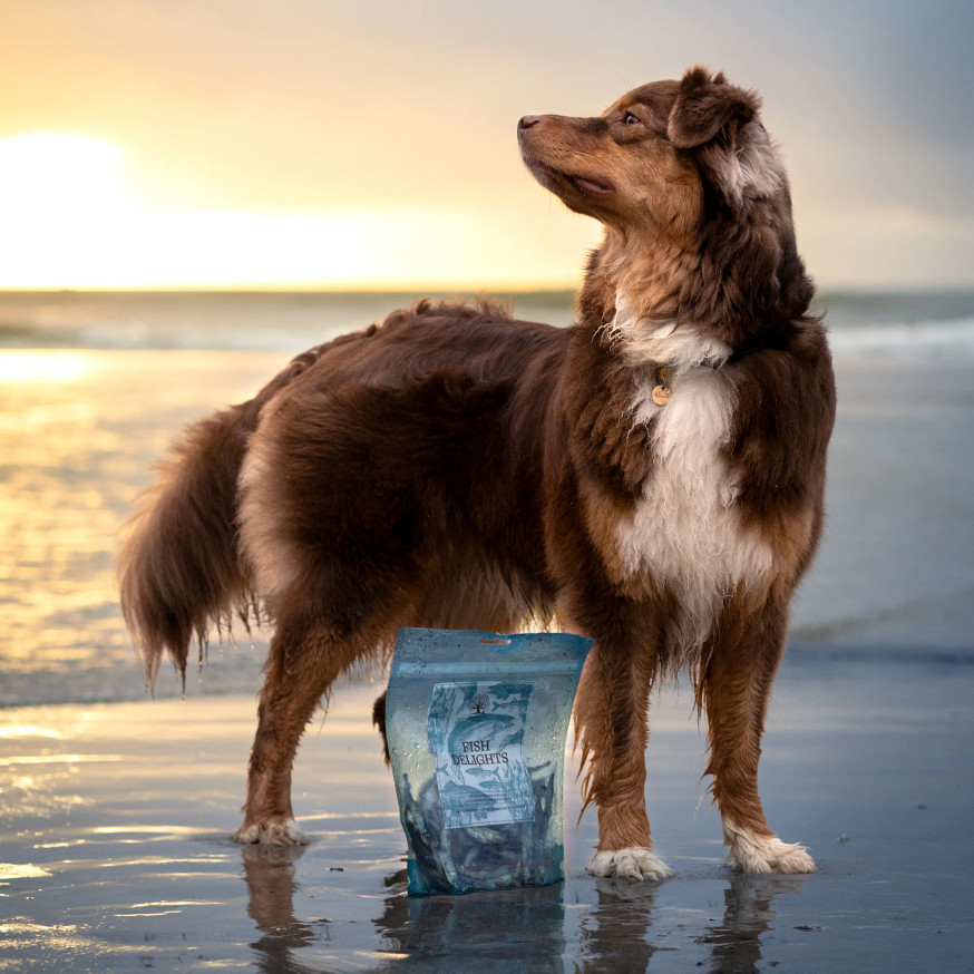 Essential Tiny Fish Delights Hundgodis