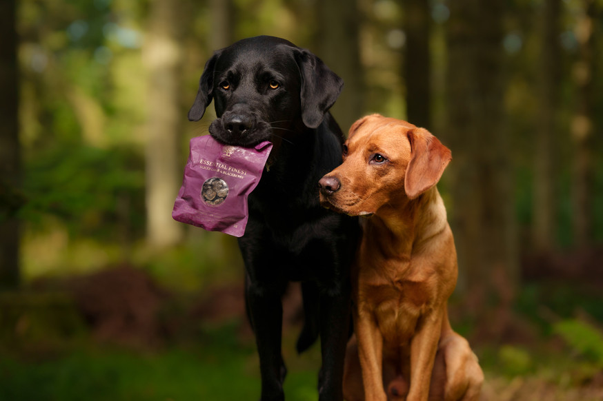 Essential Finest Sliced Lamb & Blackberry Hundgodis
