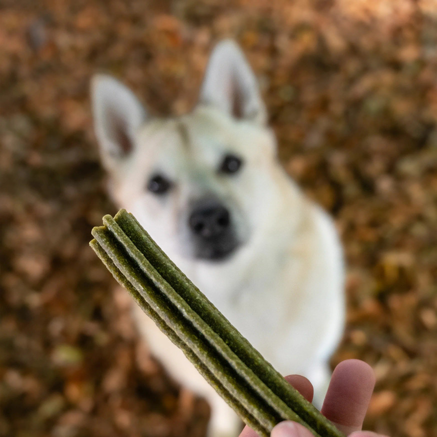 Essential Chamomile & Sage Teeth Delights Tuggben för Hund
