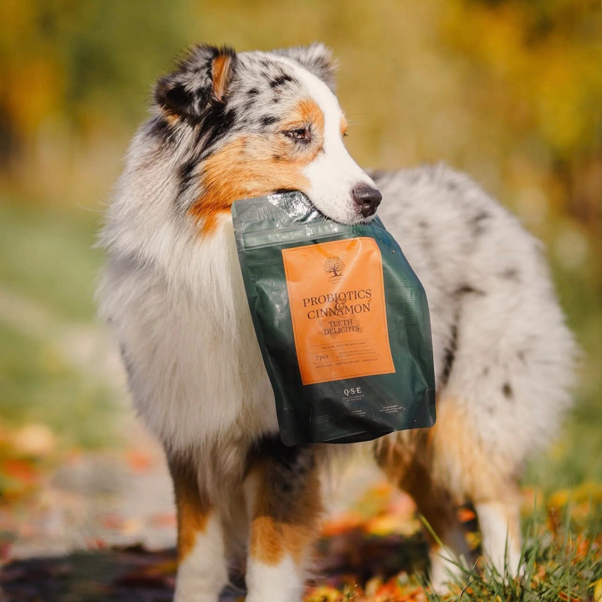 Essential Probiotics & Cinnamon Teeth Delights Tuggben för Hund