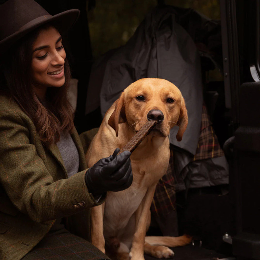 Essential Grain-Free Beef & Game Dental Delights Tuggben för Hund