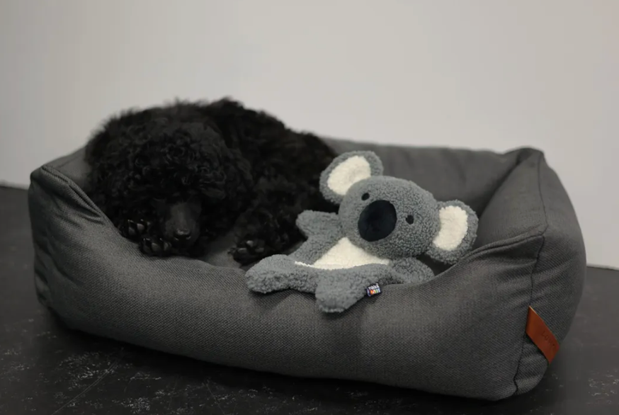 Calm Koala Hundleksak