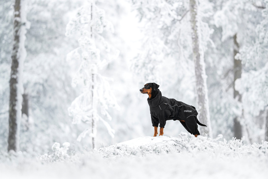 Thermal Overall Svart 2.0 till Hund