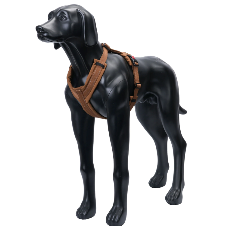 Hundsele Puff Harness, Cognac