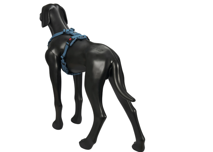 Hundsele Puff Harness, Teal Blue