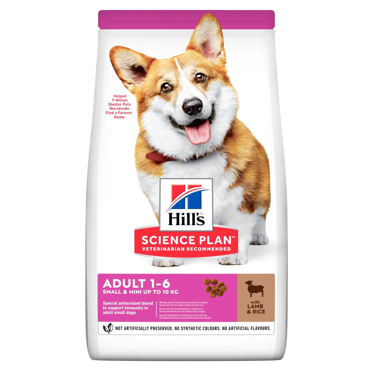 Adult Small & Mini torrfoder med lamm och ris Hundfoder – 6 kg