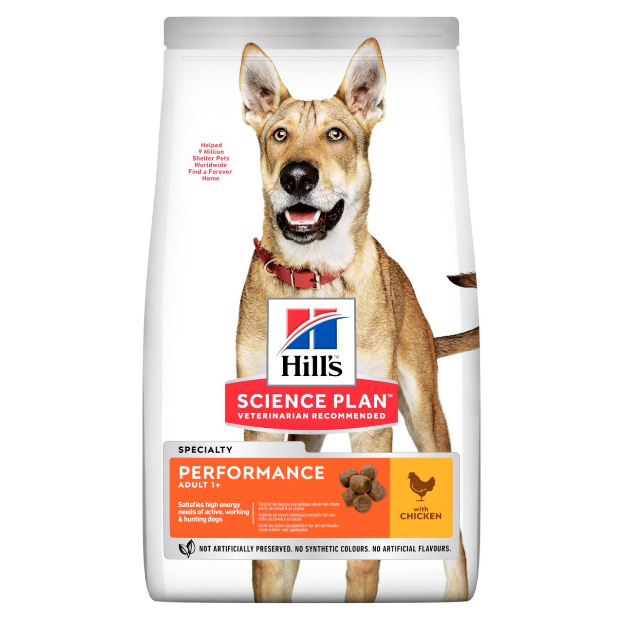 Adult Performance torrfoder med kyckling Hundfoder – 14 kg