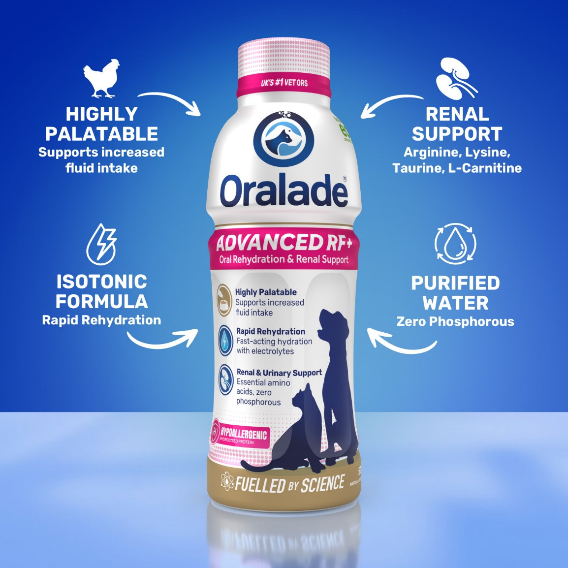 Oralade RF Support Cat - 500 ml