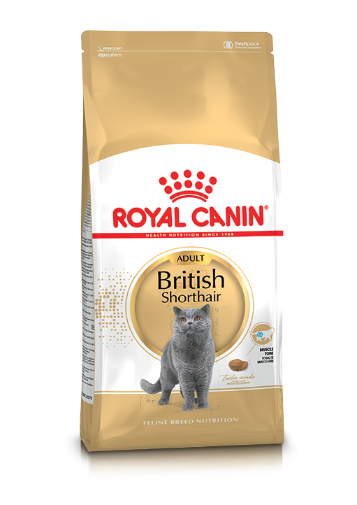 British Shorthair Adult Torrfoder för Katt – 2 kg