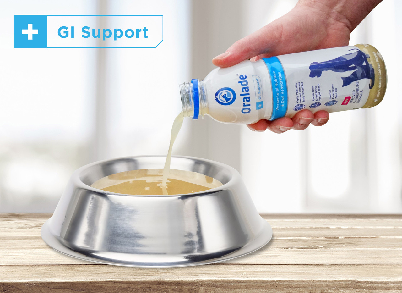 Healthy Pet Oralade GI Support – 500 ml