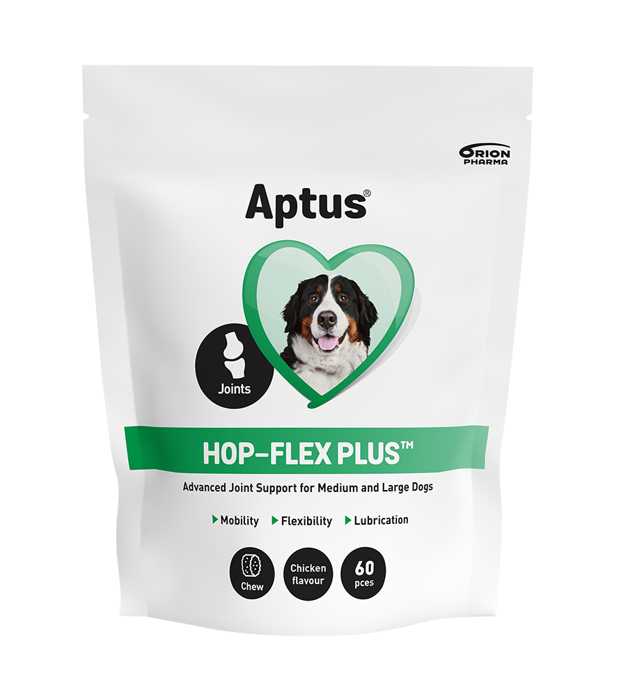 Hop-Flex Plus Tuggbitar för Hund – 60 st tuggbitar