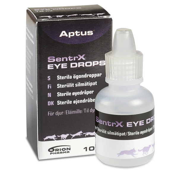 Sentrx Eye Drops - 10 ml | Djurtyp - Hund - Hundapotek - Ögonvård - Ögondroppar | DogStyle