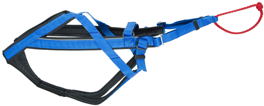 Adjustable Dragsele - X-Large / Blå