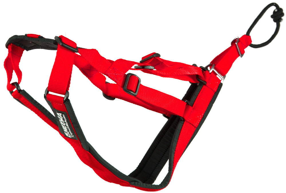 Neewa Sled Dog X-Back – Medium / Röd