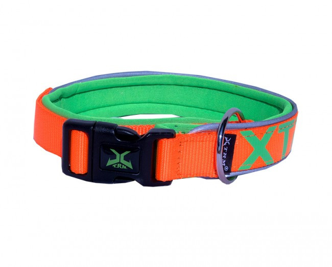 Neon Flash Collar – Medium