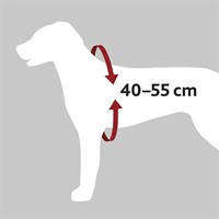 Bilsele Dog Protect - Small | Djurtyp - Hund - Transport - Bilskydd och säkerhet - Bilselar | DogStyle