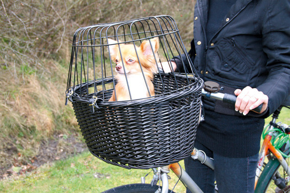 Cykelkorg front med galler - Svart | Djurtyp - Hund - Transport - Cykelvagnar och Korgar - Cykelkorgar | DogStyle