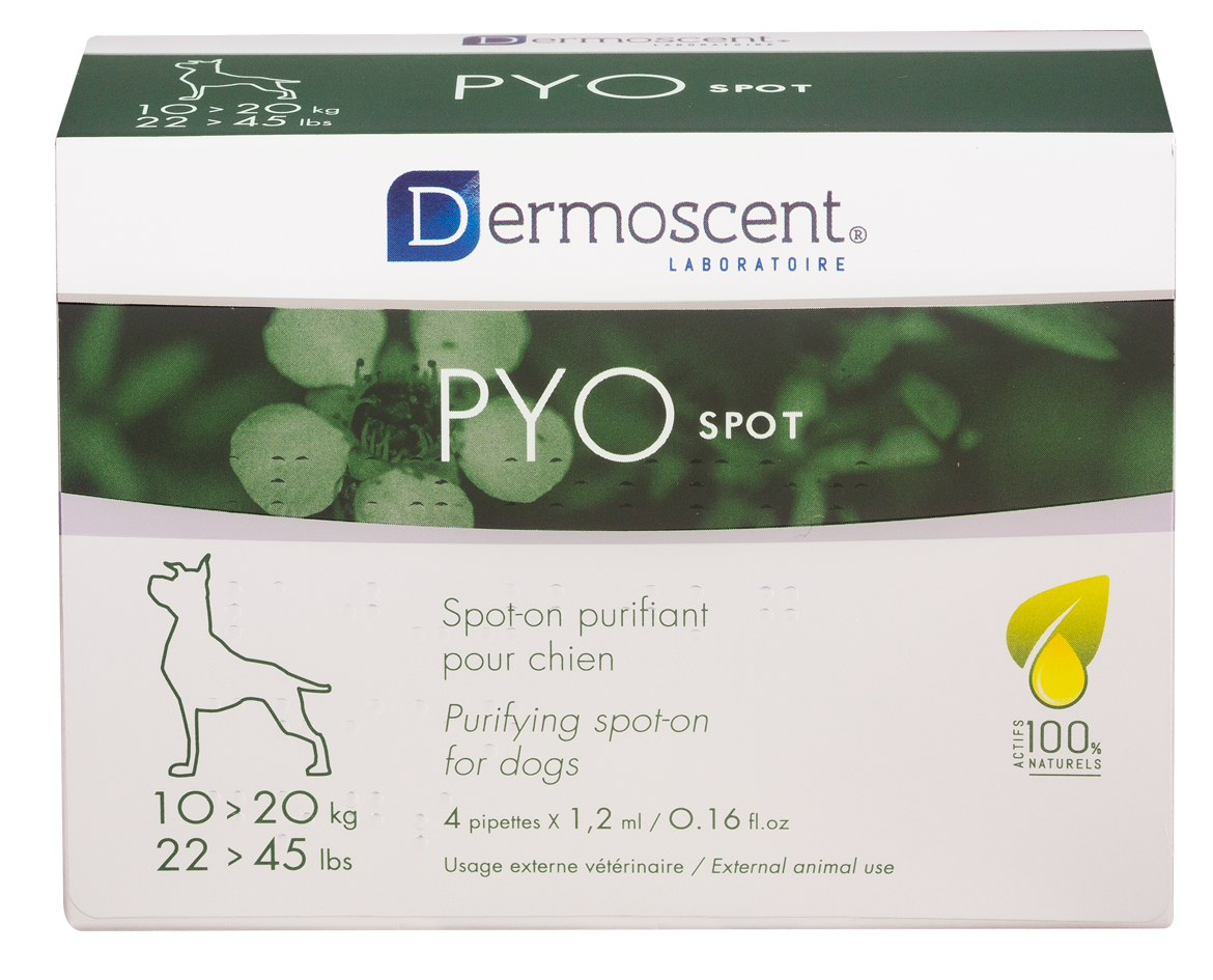 PYOspot® för hund – Medium (4 x 12 ml)