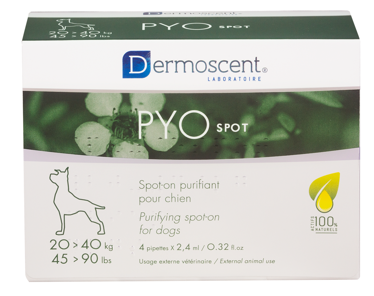 PYOspot® för hund – Large (4 x 24 ml)