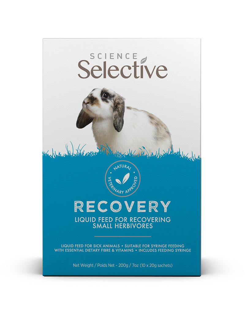 Recovery Sachet Fodertillskott – 10 x 20 g