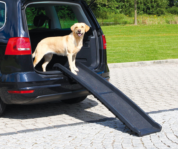 Hopfällbar Ramp för hund - Ramp