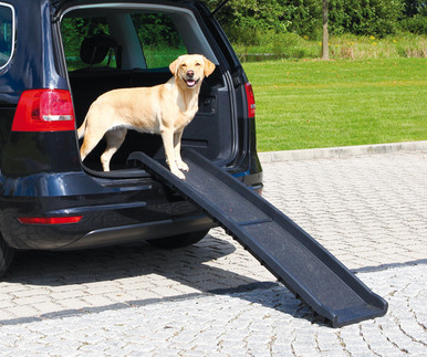 Ihopfällbar Ramp för hund - Ramp