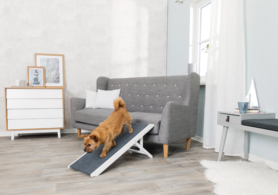 Justerbar ramp - Ramp | Djurtyp - Hund - Hemmet - Trappor och ramper - Ramper | DogStyle