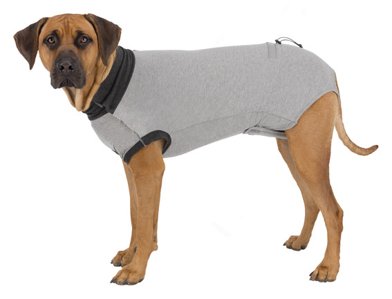 Trixie Skyddande Body för Hund – XL