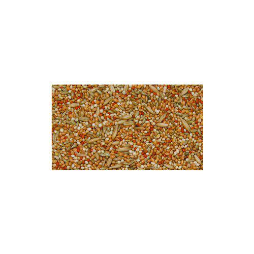 Undulatblandning - 5 kg | Djurtyp - Fågel - Fågelmat - Fröer - Burfågel | DogStyle