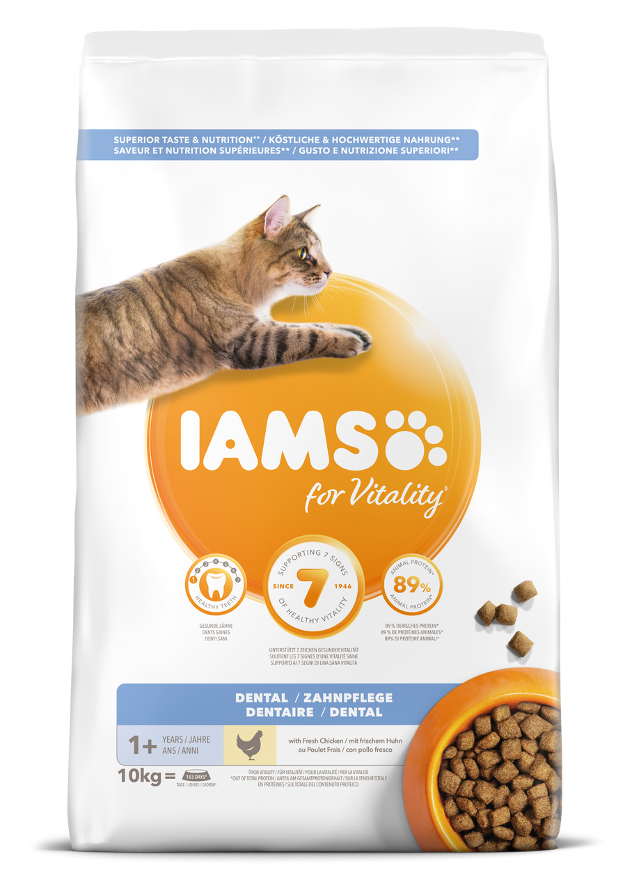 Iams Cat Adult Dental – 10 kg