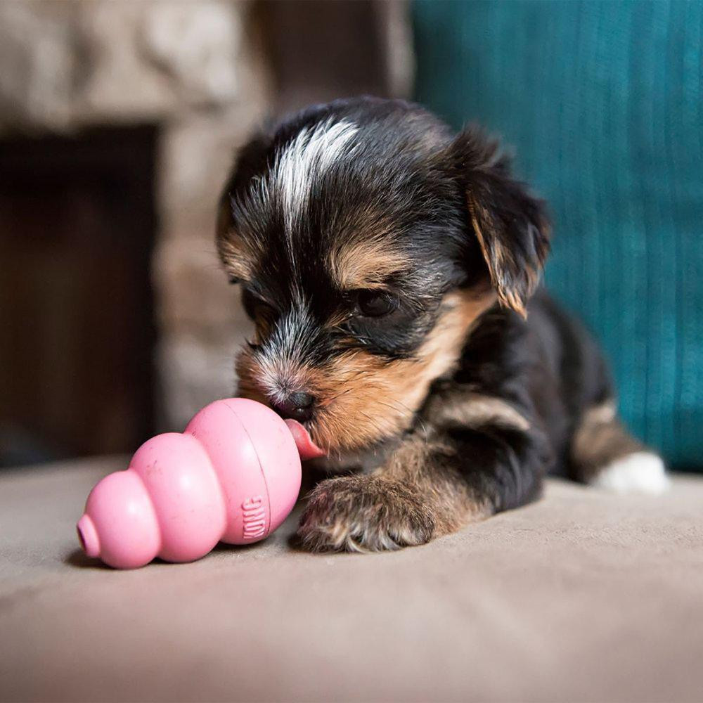 KONG Puppy Gummileksak – Small