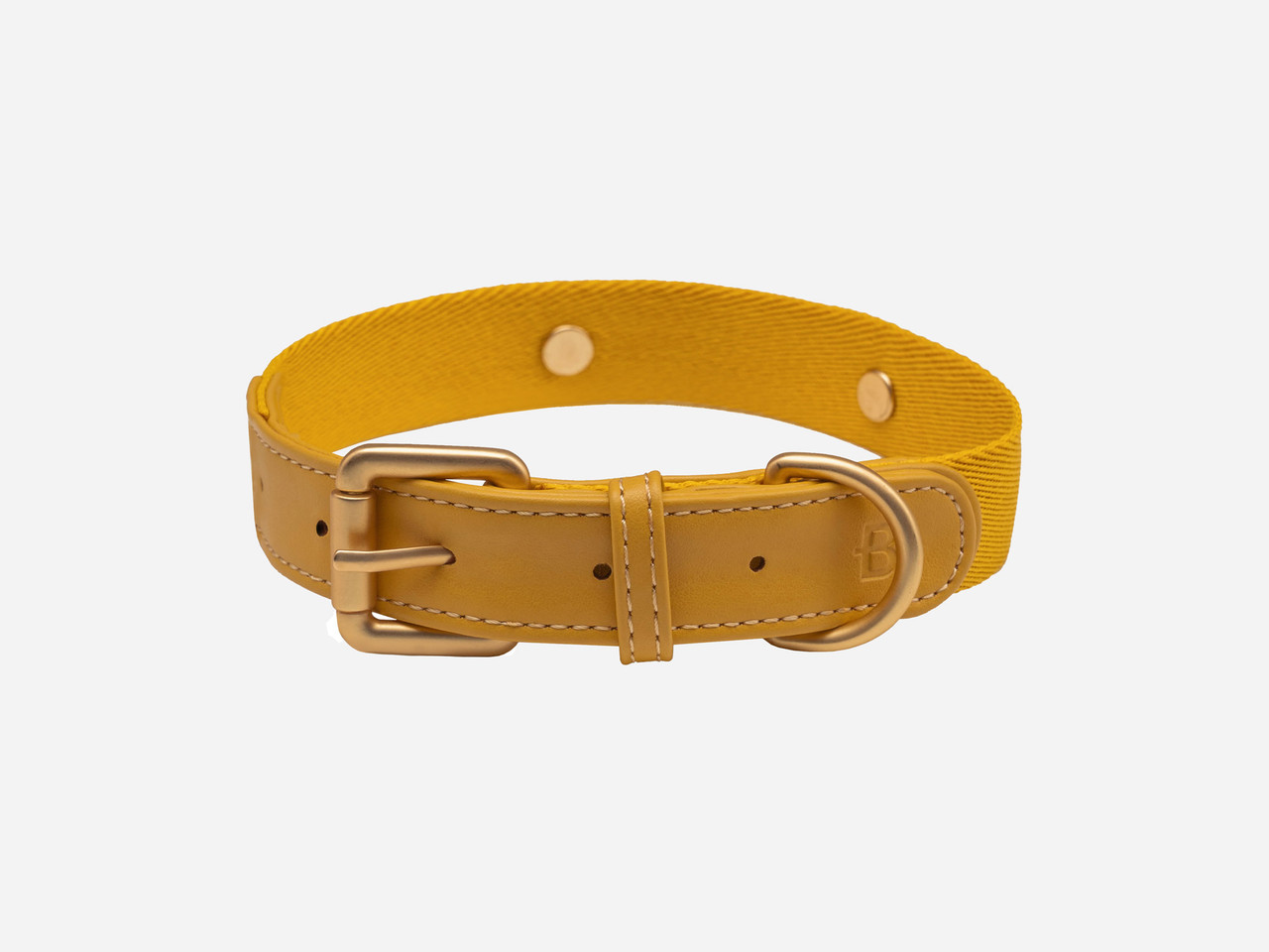 Barkalot Konny Collar – XS / Golden Yellow