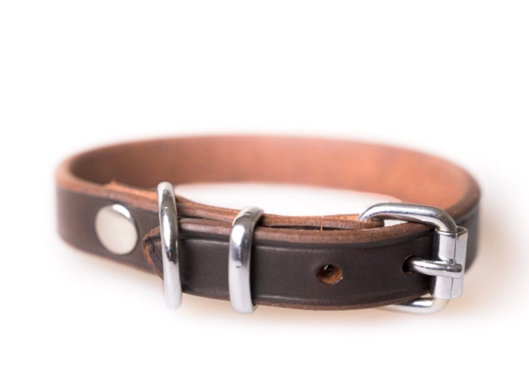 Active Canis Leather Collar – 50 / Brown