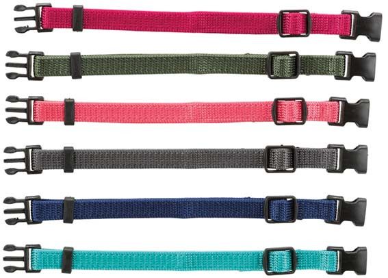 Valphalsband 6-pack Blandade Färger - M/L / Färgmix 2