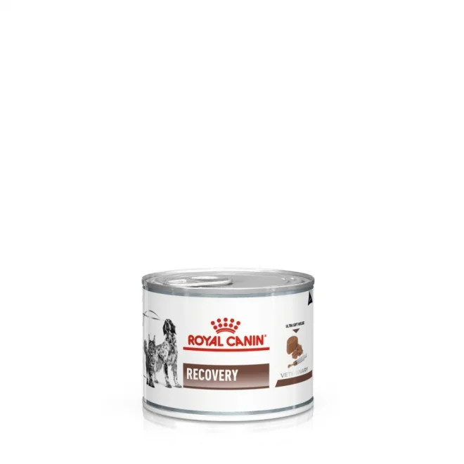 Gastrointestinal Recovery Ultra Soft Mousse In Can för hund – 12 x 195 g