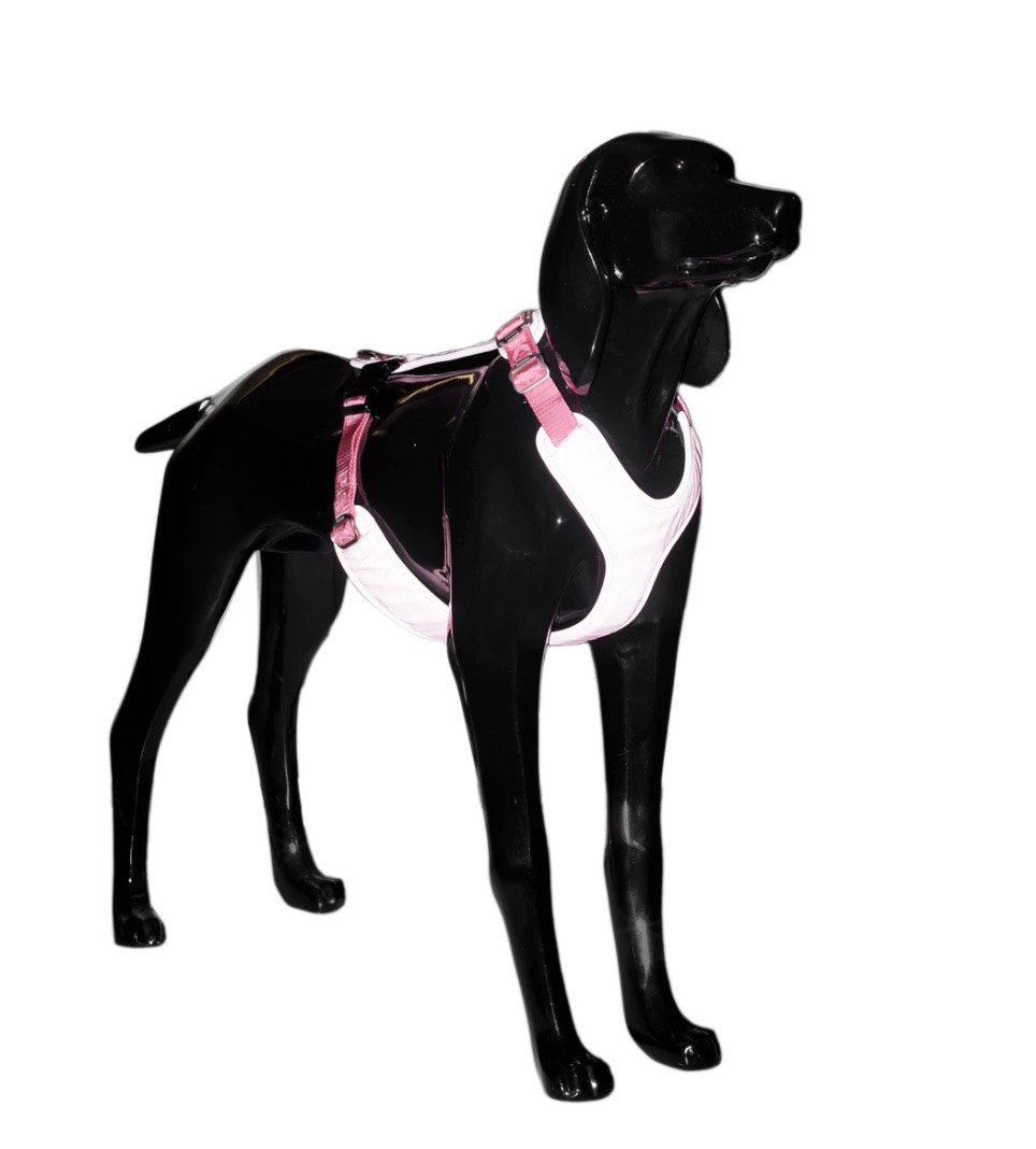 Reflekterande Hundsele – Rosa XS