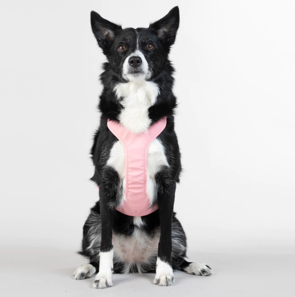 PAIKKA Reflekterande Hundsele rosa – XL