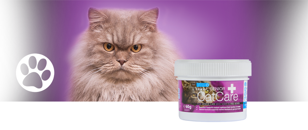 NAF Senior CatCare Kostillskott – 60 g