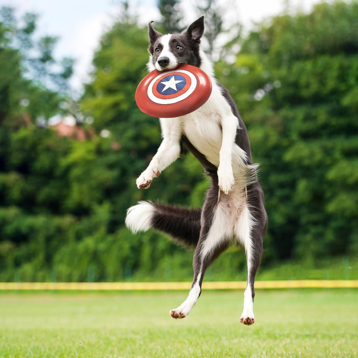 Avengers Captain America Frisbee – Avengers Frisbee