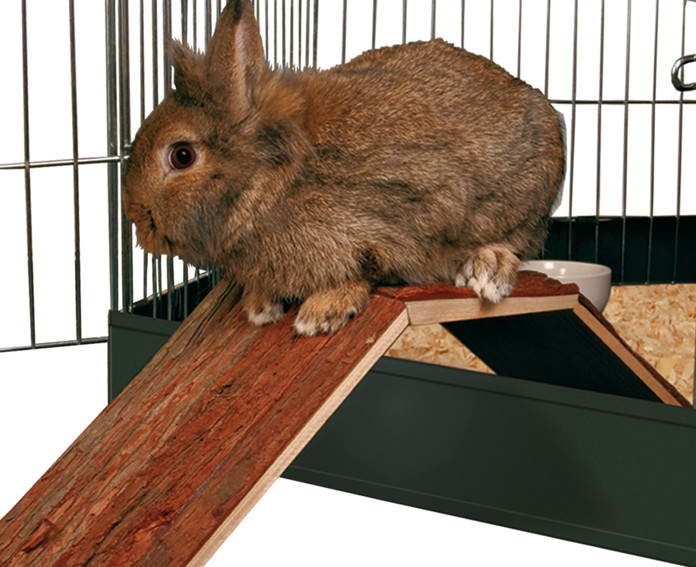 Bro Kanin & Marsvin - Gnagarbro | Djurtyp - Gnagare - Gnagarens hem - Hus | DogStyle